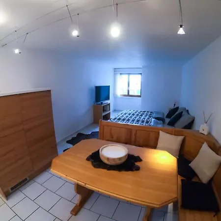 Private With Parking Spot In The Center Flims